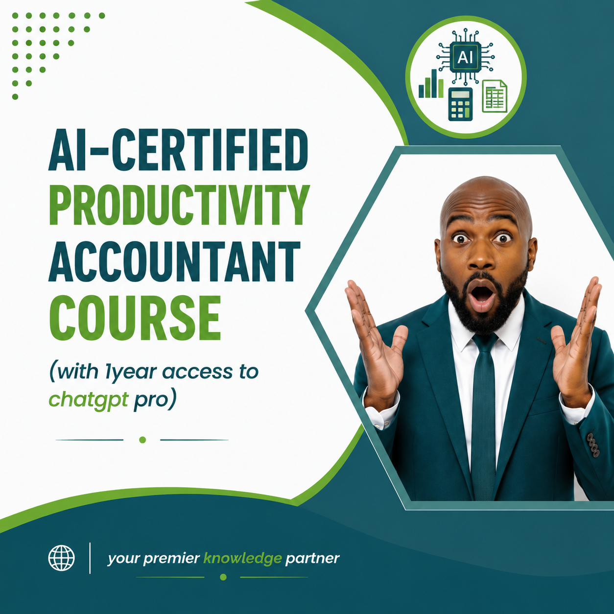 AI-CERTIFIED PRODUCTIVITY ACCOUNTANT COURSE (with 1year access to chatgpt pro)